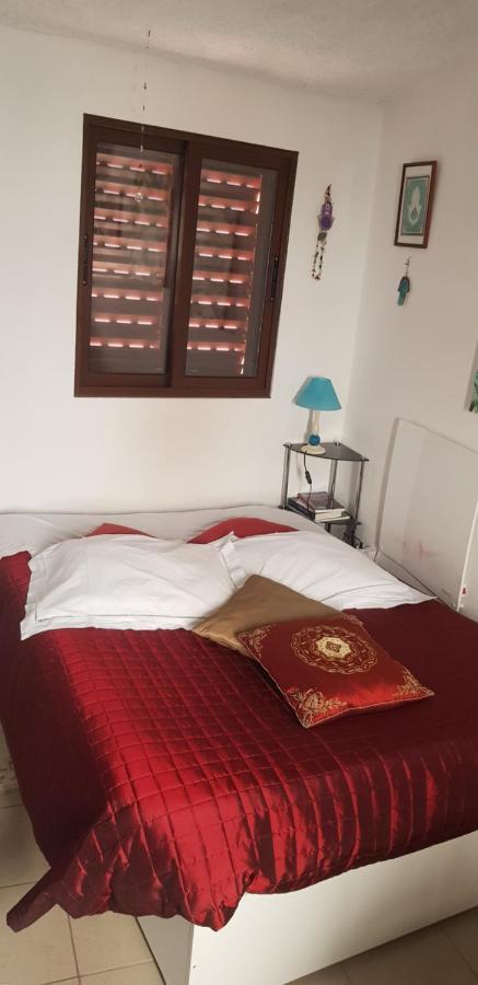 Branca Goncalves Belmonte Lodge Belmonte (Castelo Branco)
