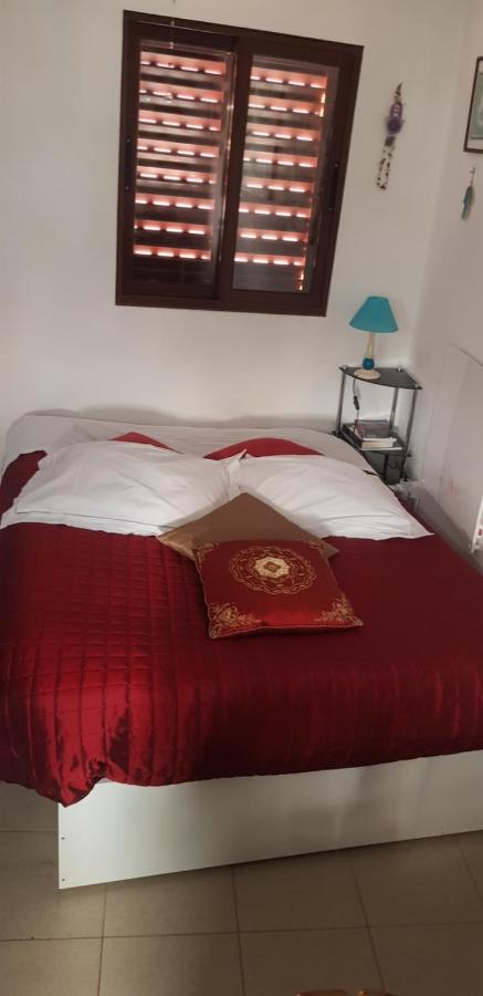 Branca Goncalves Belmonte Lodge Belmonte (Castelo Branco)