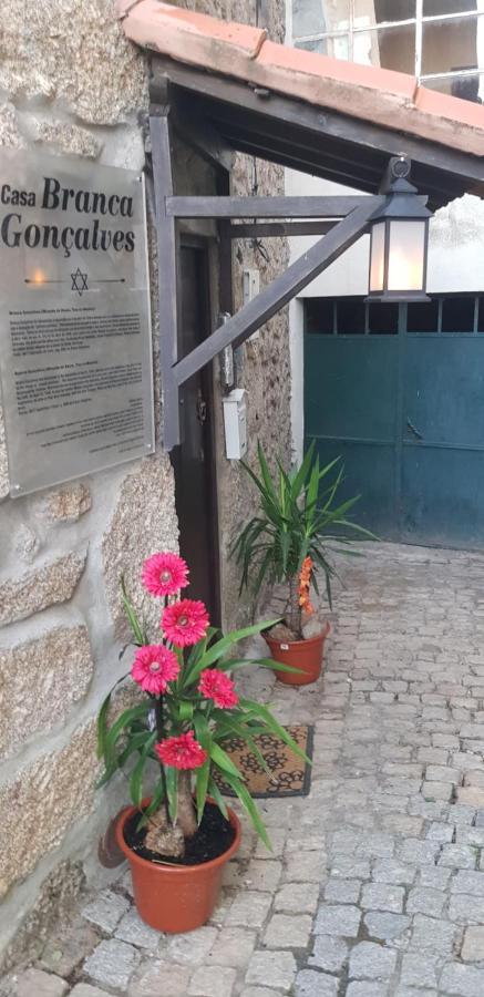 Lodge Branca Goncalves Belmonte *