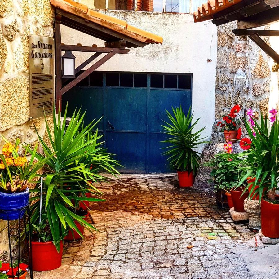 Lodge Branca Goncalves Belmonte *