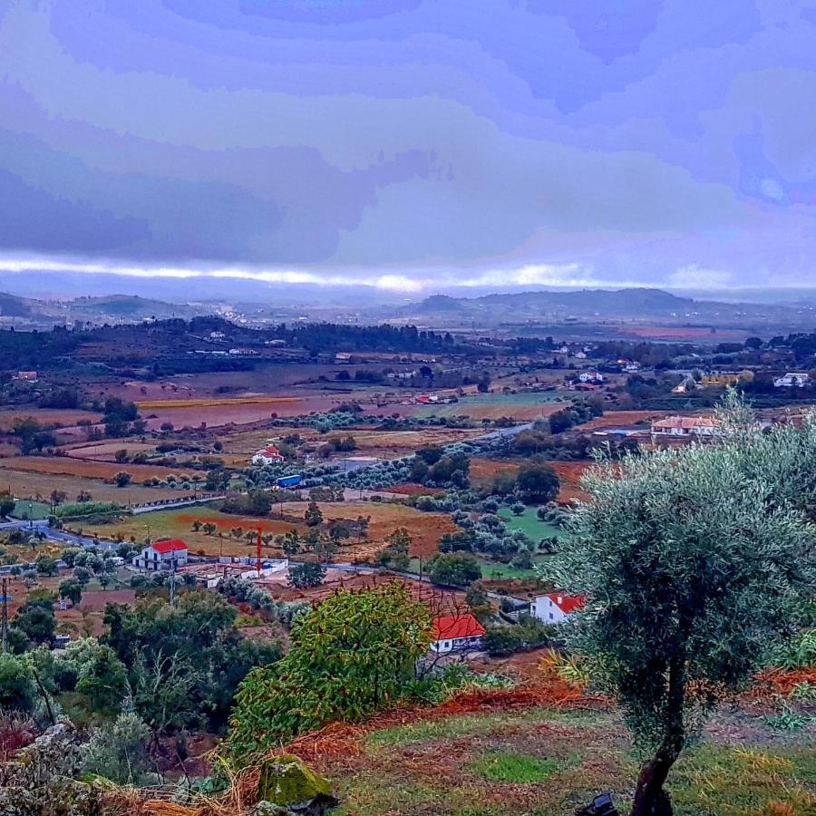 Branca Goncalves Belmonte Lodge Belmonte (Castelo Branco)