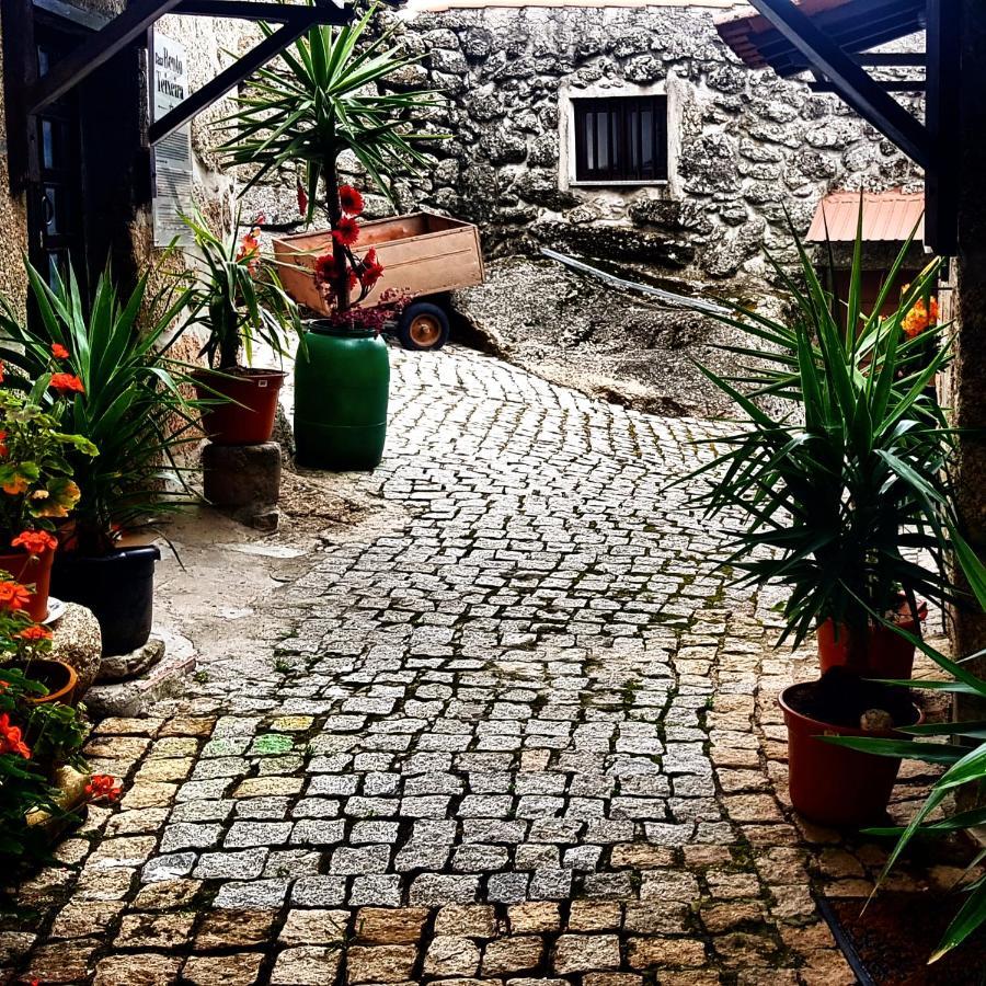 Branca Goncalves Belmonte Lodge Belmonte (Castelo Branco)