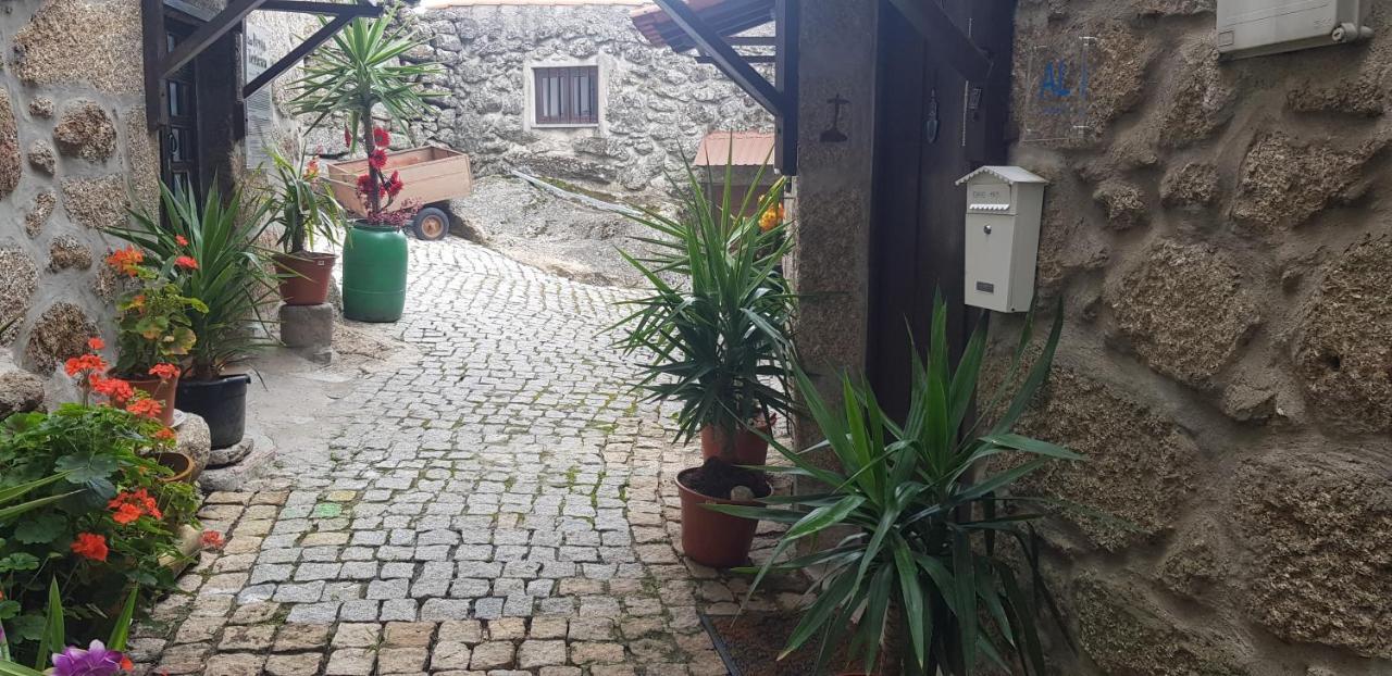 Lodge Branca Goncalves Belmonte