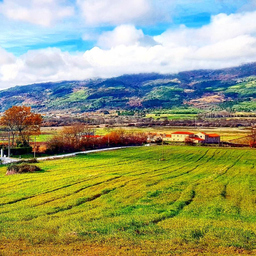 Lodge Branca Goncalves Belmonte