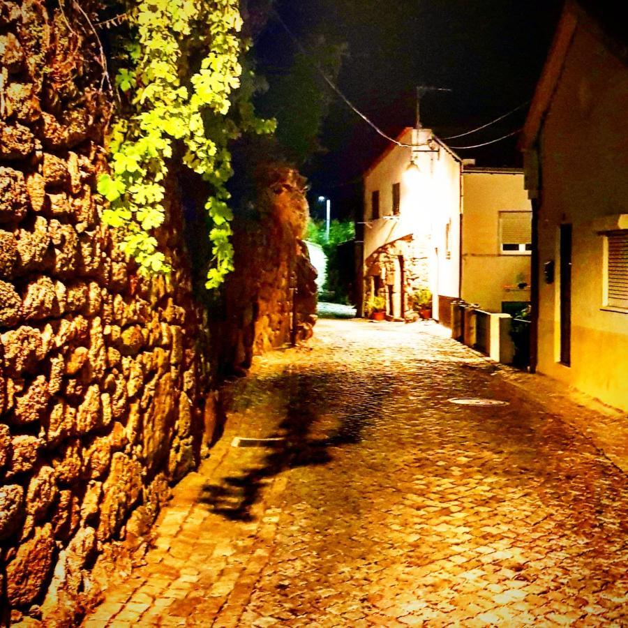 Lodge Branca Goncalves Belmonte Belmonte (Castelo Branco)