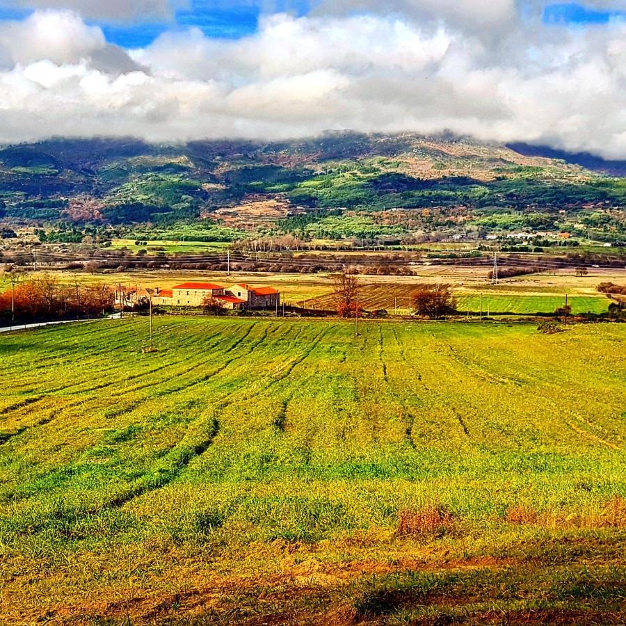 Branca Goncalves Belmonte * Belmonte (Castelo Branco)