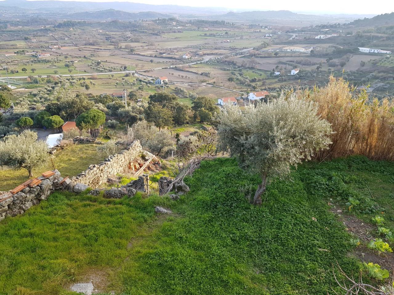 Lodge Branca Goncalves Belmonte *